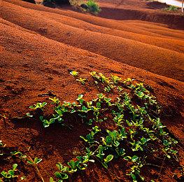 开罗游戏禁止《哆啦A梦的铜锣烧物语》通过游戏视频获利